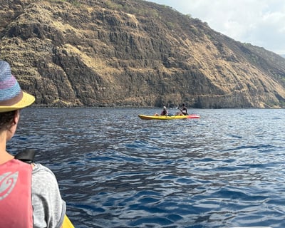 Morning Kealakekua Bay Kayak & Snorkel Tour