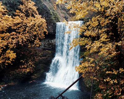 Guided Waterfall Hike at Silver Falls State Park