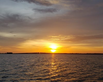 Sunset Dolphin Cruise