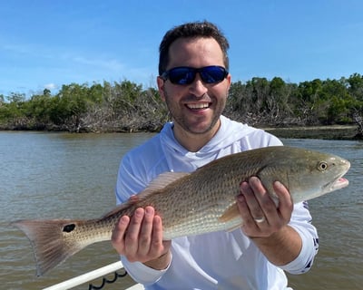 Fish Everglades National Park on a 4-Hour Charter