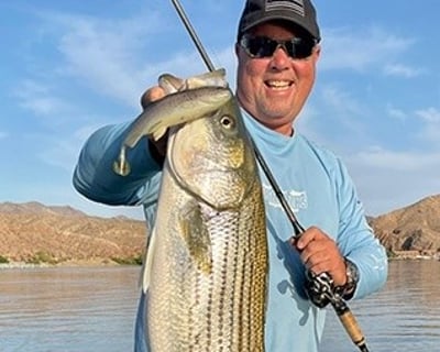 Guided Willow Beach Fishing Charter Below Hoover Dam