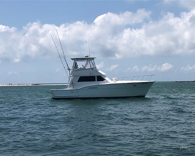 Orange Beach Private Fishing Charter