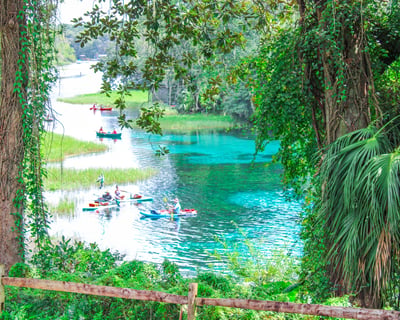 Rainbow River 1.5-Hour Guided Kayak Tour