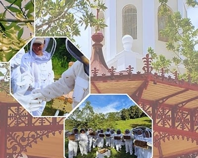 Beekeeping Farm Tour in San Lorenzo