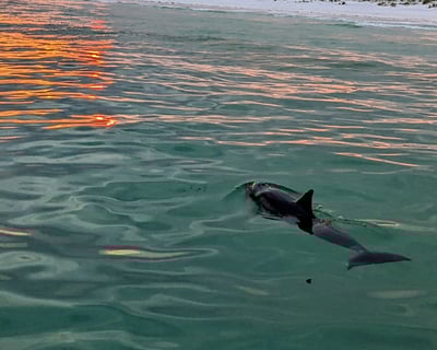 Destin Sunset and Eco Cruise