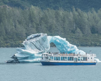 Anchorage Portage Glacier & Wildlife Guided Tour