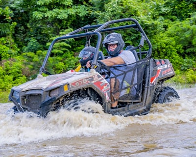 Damajagua Waterfalls & Monkeyland Buggy Tour