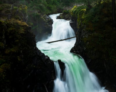 Explore Vancouver Island Waterfalls & Rainforest Tour