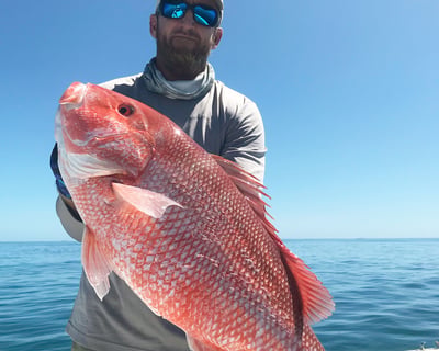 4-Hour Private Fishing Charter in Fort Lauderdale