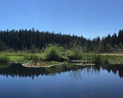 Stanley Park Guided Walking Tour