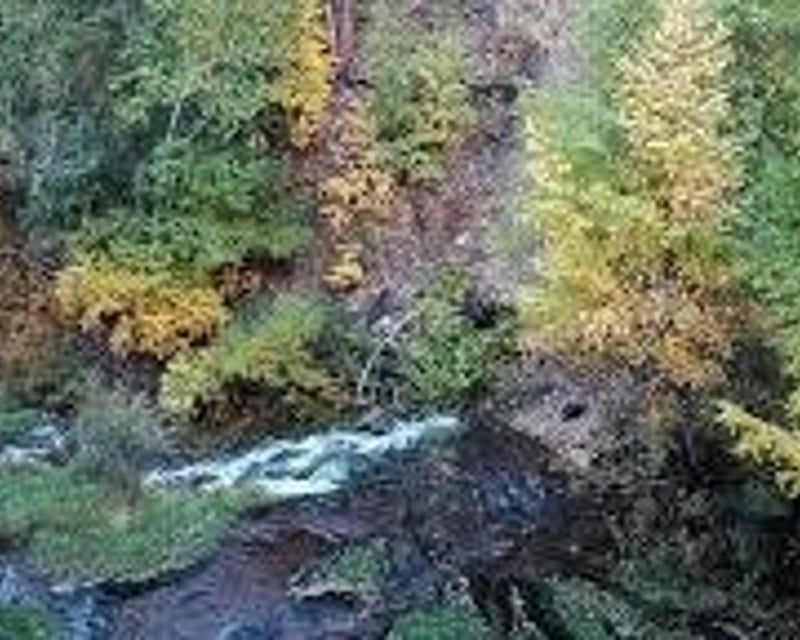 Addon image