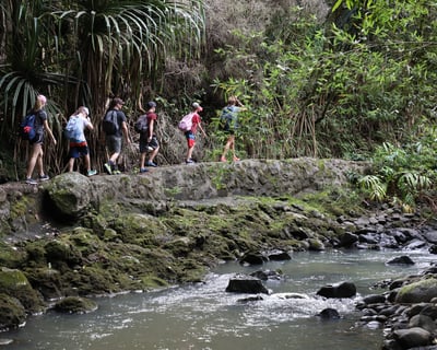 Waterfall & Rainforest Guided Hike in Maui
