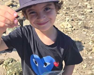 Hunt Shark Teeth at Shark Tooth Island, Carolina Beach