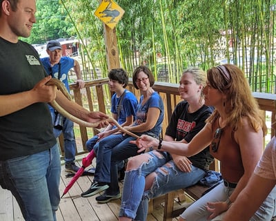 Interactive Behind-the-Scenes Wildlife Tour