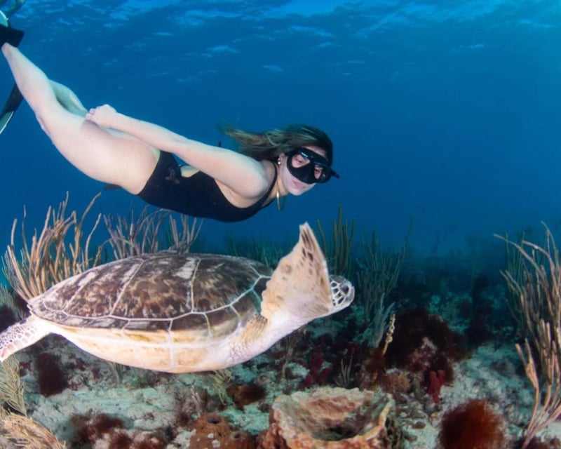 Private Snorkel & Lighthouse Boat Tour in Rincón