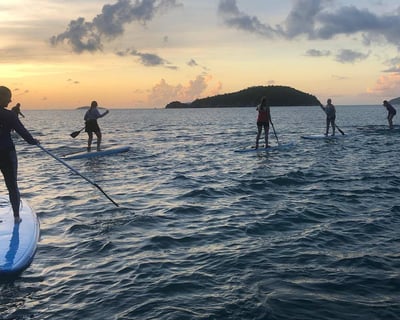 Maho Bay Paddleboard Rental