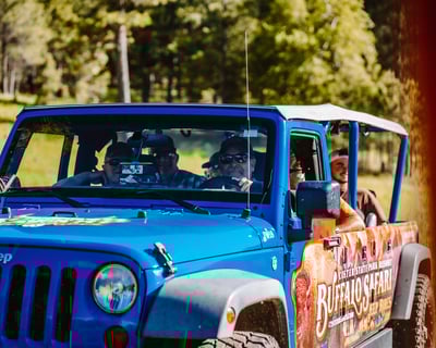 Private Buffalo Safari Jeep Tour