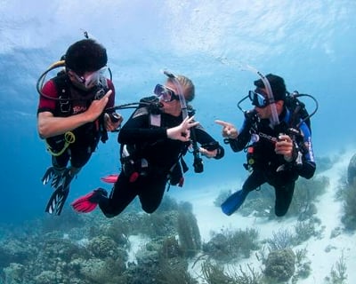 Refresh Your Scuba Skills in La Jolla Shores