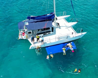 Swim with Turtles & Sail Past Diamond Head