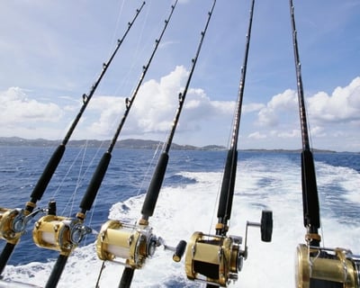 Nearshore Fishing Charter in Hilton Head Island