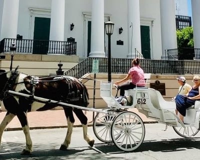 Private Savannah Historic District Carriage Tour
