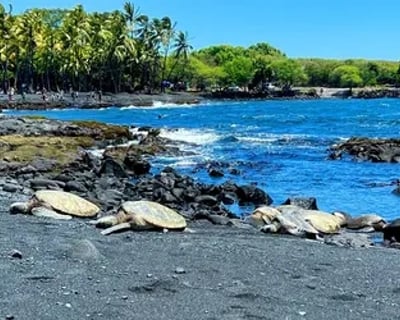 Explore Kilauea Summit-To-Shore Guided Tour From Kona