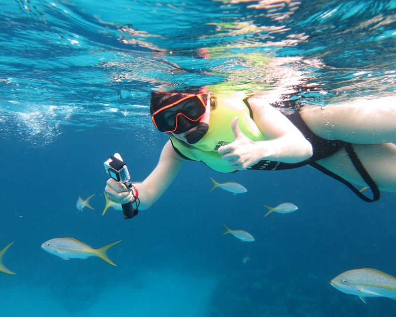 Private Half-Day Sea Turtle Snorkeling Tour from Nassau