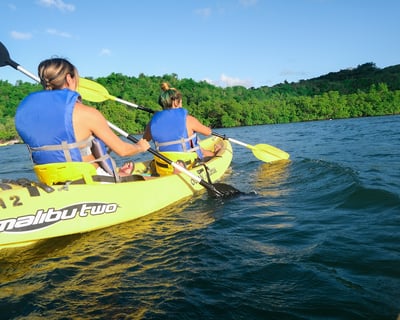 Kayak Tour of Salt River Bay National Park