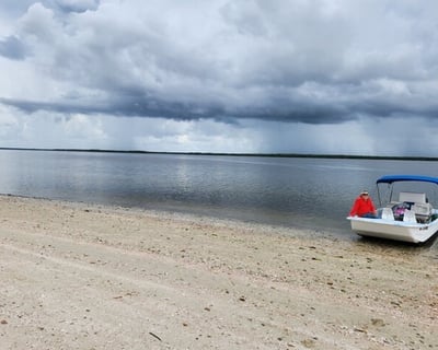 Explore Everglades National Park 10,000 Islands Tour