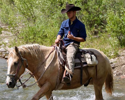 4.5-Hour Guided Trail Ride & Lunch in Jackson Hole
