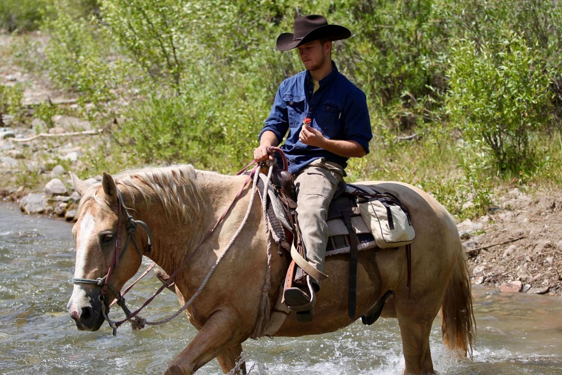4.5-Hour Guided Trail Ride & Lunch in Jackson Hole