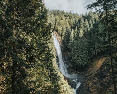 Rainforest & Waterfall Hike