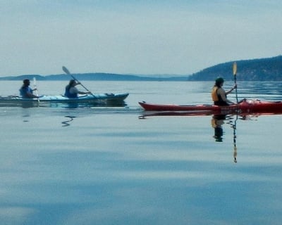 Paddle & Picnic Guided Kayak Tour On Orcas Island