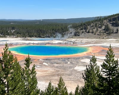 Yellowstone Lower Loop Guided Tour from Jackson