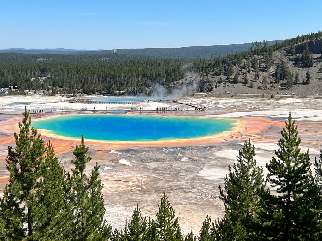 Yellowstone Lower Loop Guided Tour from Jackson
