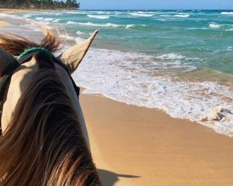 Beach Horseback Ride at Hacienda La Esperanza, Manatí
