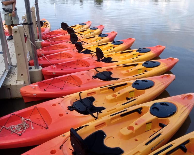 Guided Wildlife Kayak Tour of Armand Bayou