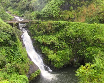 Private Road to Hana SUV Tour