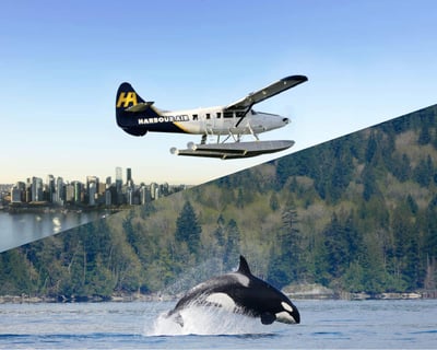 Whale Watching & Seaplane Tour From Vancouver