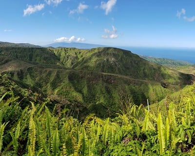 Guided North Shore Hike In Maui (5.5 Miles)
