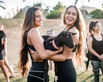 Goat Yoga Class in Anahola