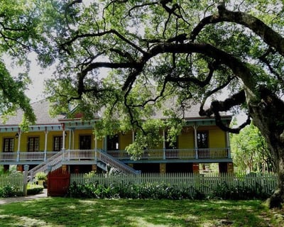 Laura Plantation and Swamp Tour with Small Airboat Ride