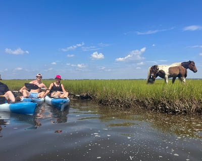 Kayak Rental Assateague Island Wildlife Viewing