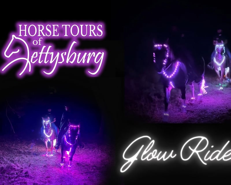 Evening Glow Horseback Ride on a Gettysburg Farm