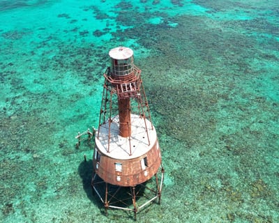 Catamaran Snorkel to Carysfort Lighthouse Reefs