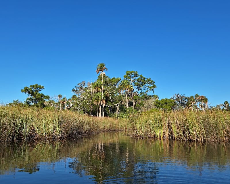 Withlacoochee River Cypress Kayak Tour Near Crystal River
