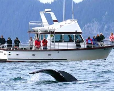9-Hour Kenai Fjords Sightseeing & Fishing Cruise