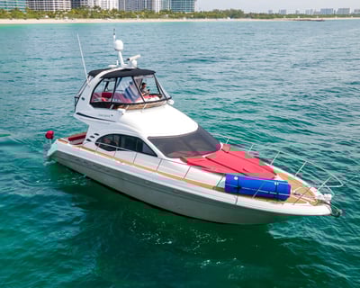 Sea Ray 46 Private Charter on Miami River