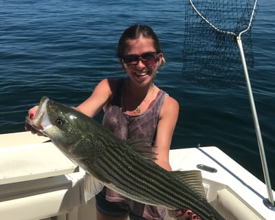 Striper Fishing Charter in Cape Cod Bay