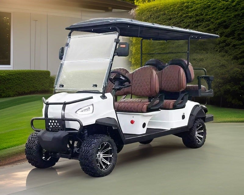 Electric Golf Cart Rental in Indian River, MI